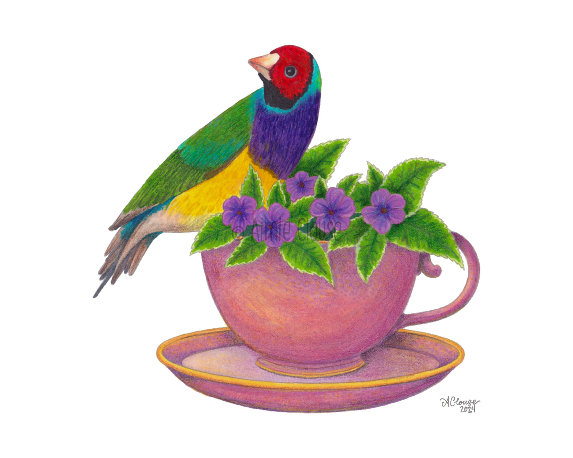 A colorful illustration of a gouldian finch perched on the edge of a teacup full of small purple flowers, illustrated using alcohol markers and colored pencil