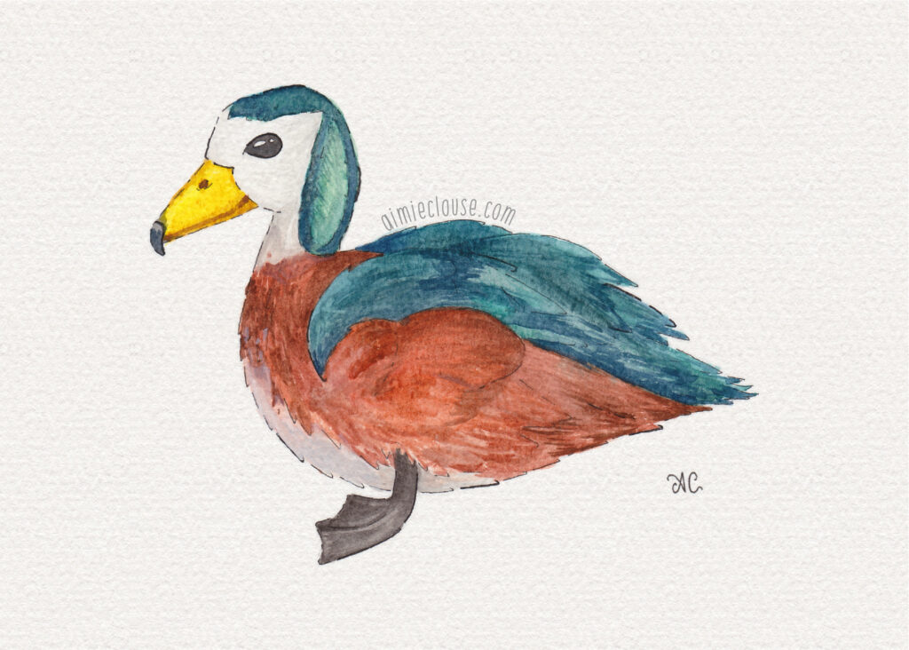 5" x 7" african pygmy duck watercolor and ink painting