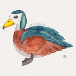 5" x 7" african pygmy duck watercolor and ink painting