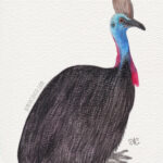 5" x 7" cassowary watercolor painting