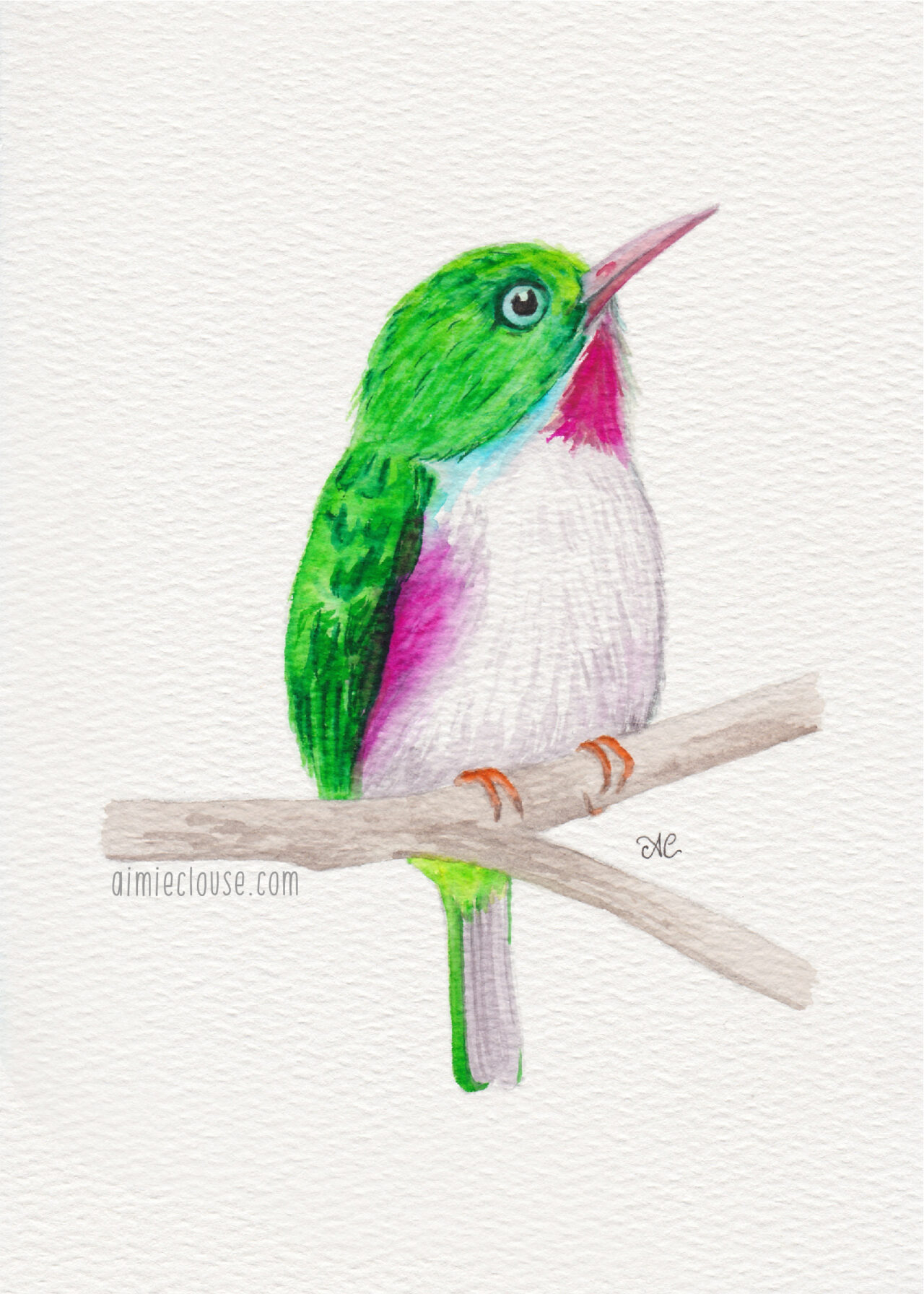 5" x 7" cuban tody watercolor painting