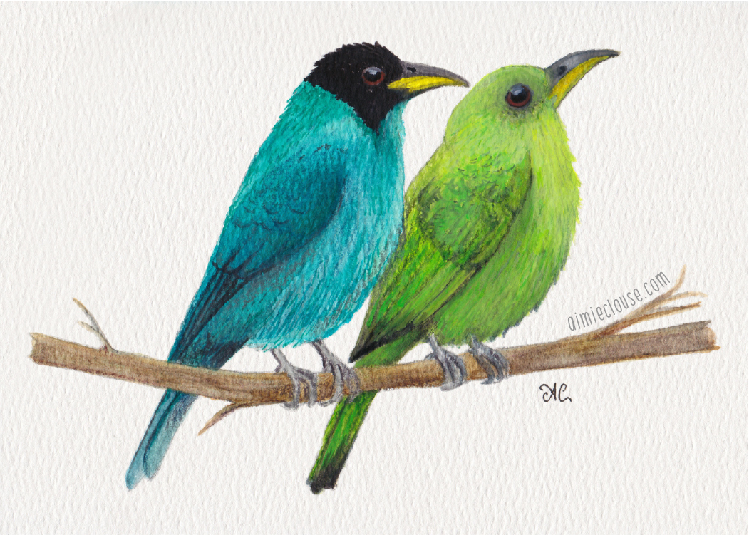 5" x 7" green honeycreeper watercolor painting