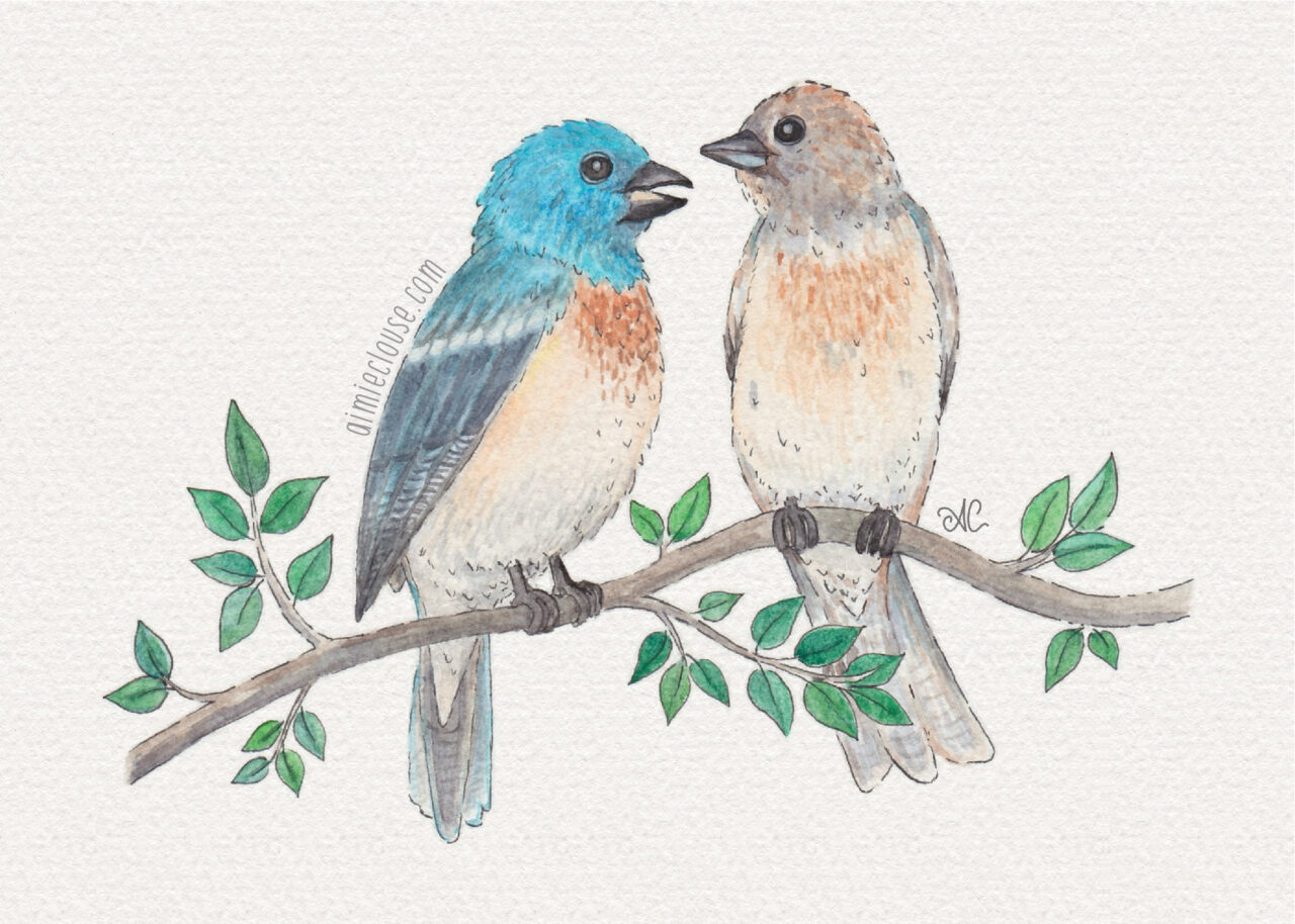 5" x 7" lazuli bunting watercolor and ink painting