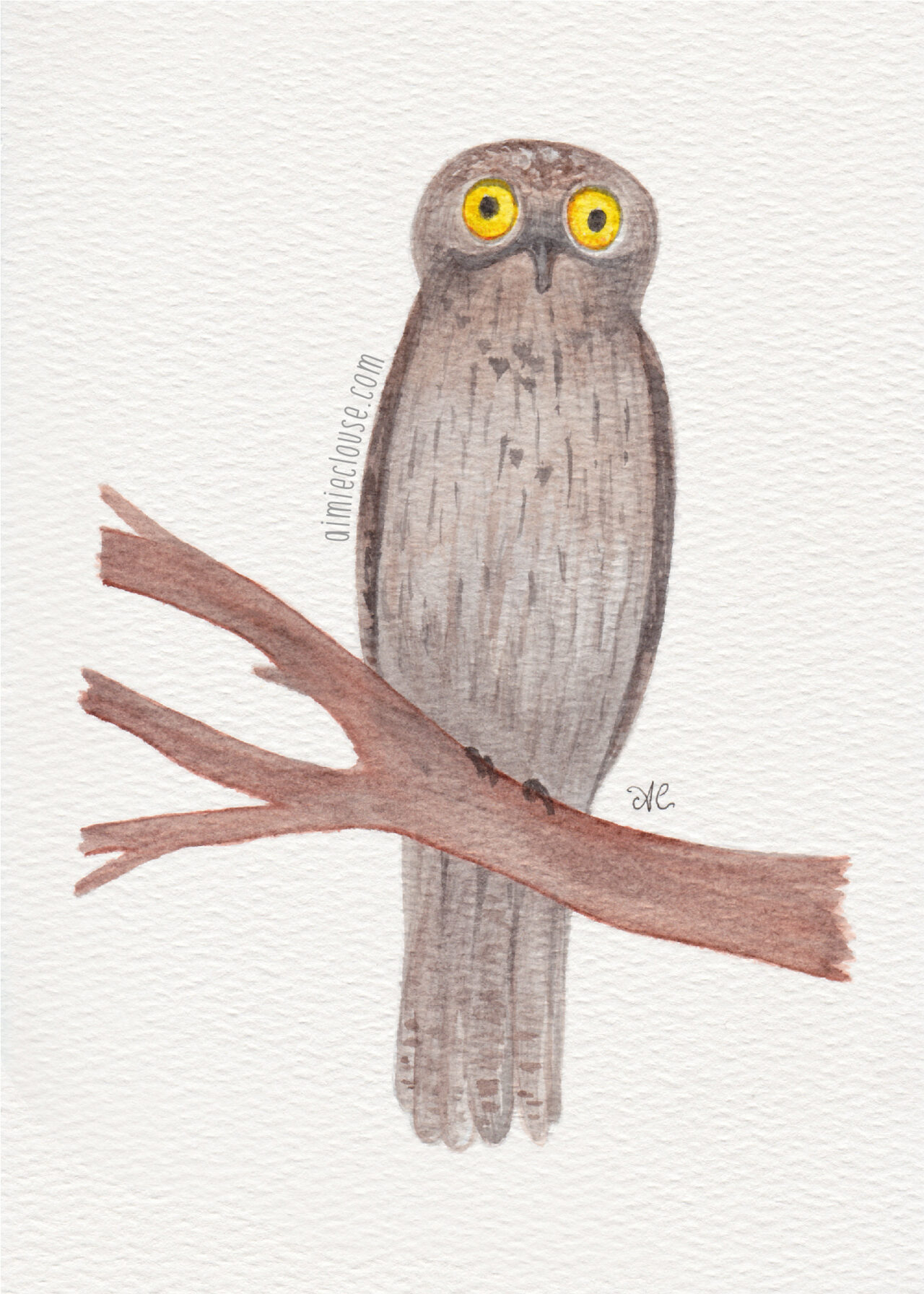5" x 7" northern potoo watercolor painting