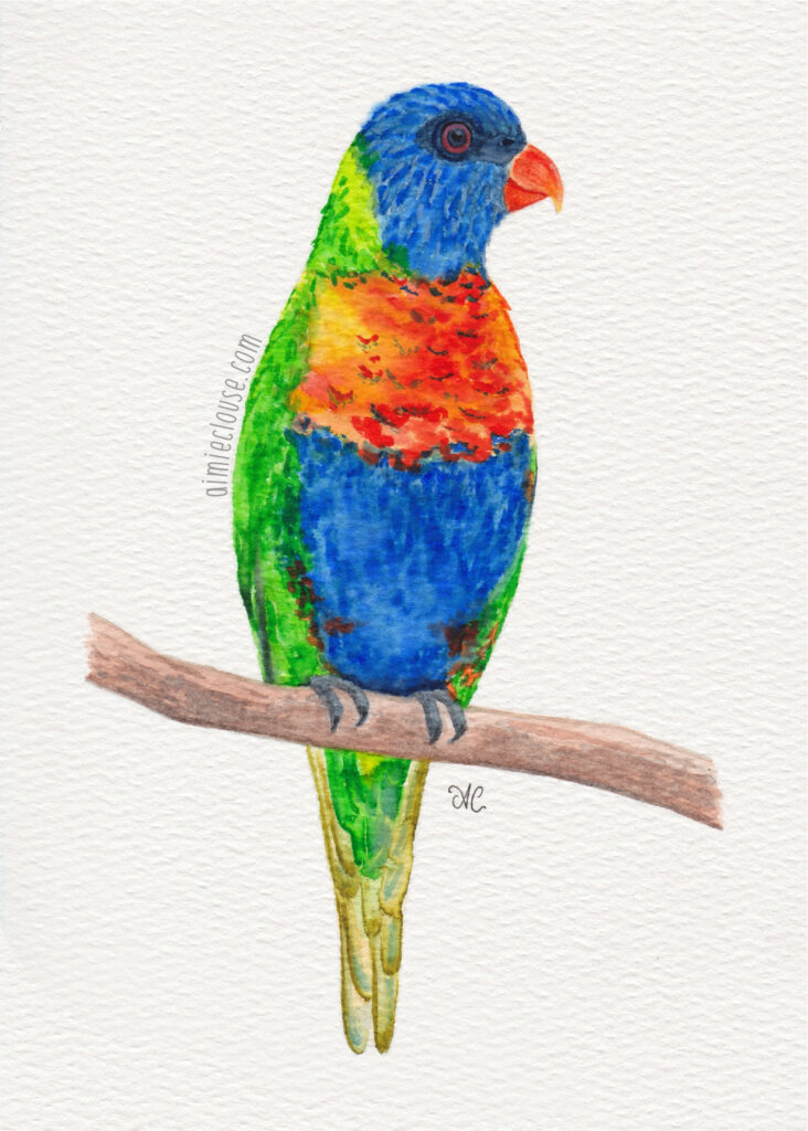 5" x 7" rainbow lorikeet watercolor painting