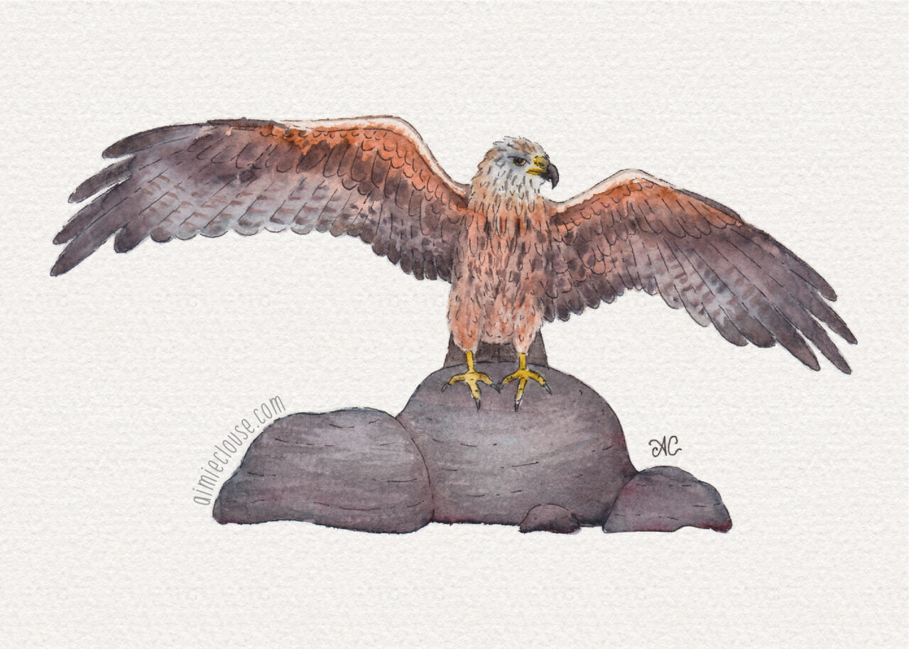 5" x 7" red kite watercolor and ink painting